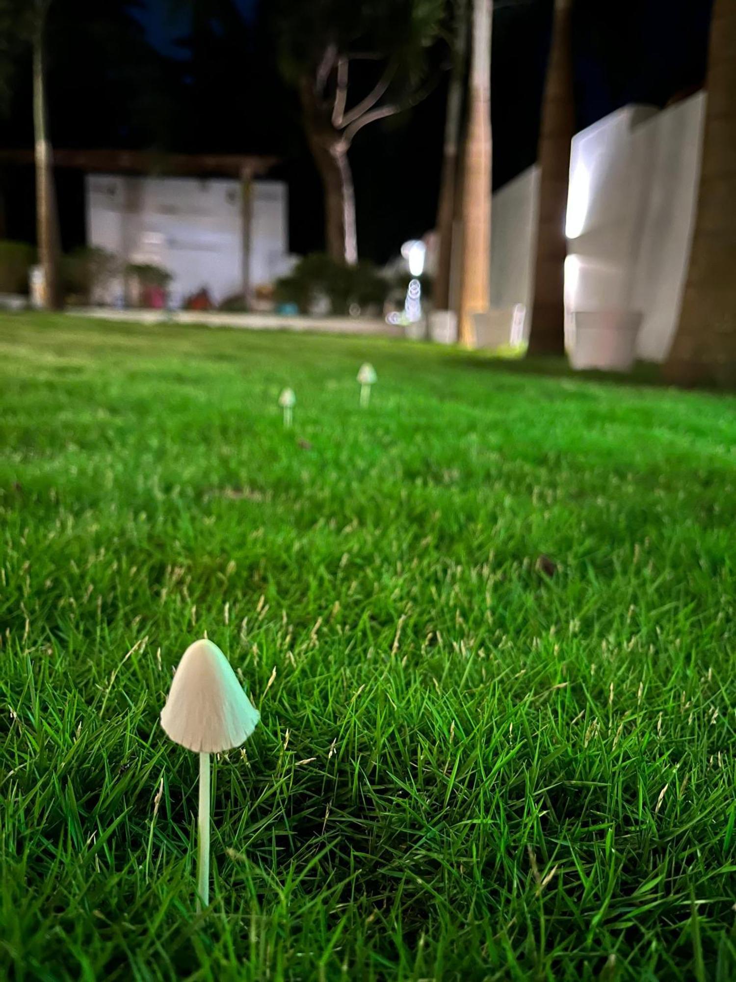 14 Magic Pods Morjim Exterior foto